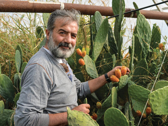 Syrian Armenian farmer in frame of Fields of Hope Program