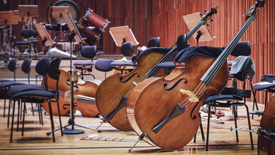 Orchestra Cellos